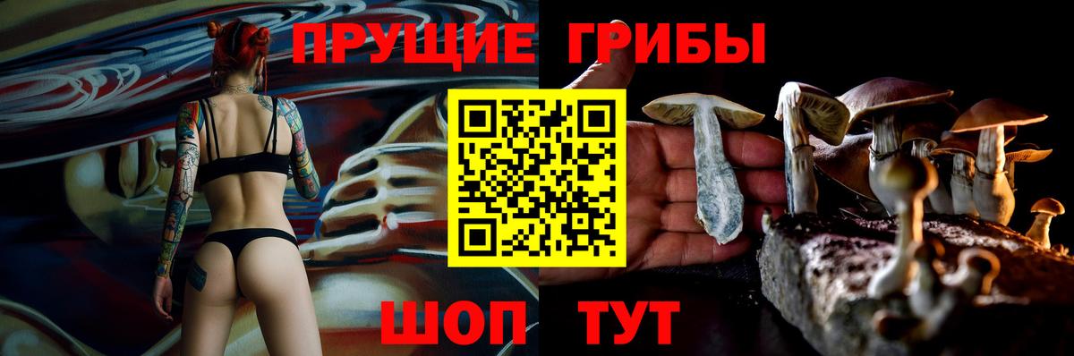 Псилоцибиновые грибы Psilocybine cubensis  Вход с VPN  Ногинск 